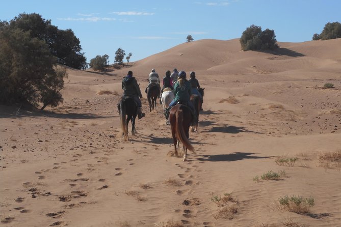 Desert Trail in Morocco on Horseback - Six days from palm groves to open Sahara