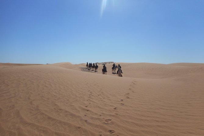 Desert Trail in Morocco on Horseback - Day 6: Final gallops and the return to Zagora