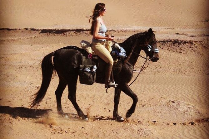 Desert Trail in Morocco on Horseback - What the $234.91 price covers