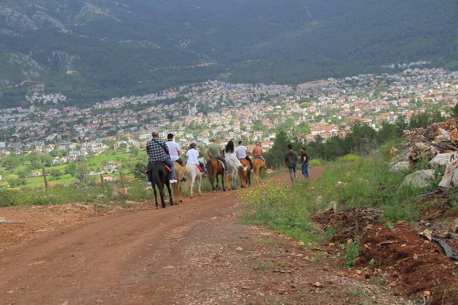 Didim Horse Safari - Who should book the Didim Horse Safari?