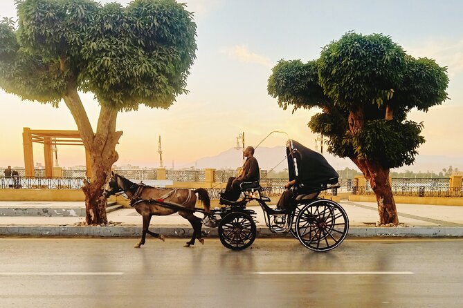 Discover Luxor City Tour by Horse Carriage - Key points to know before you book
