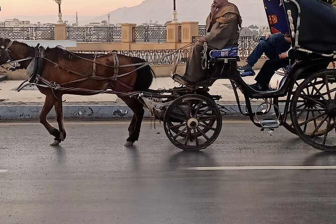 Discover Luxor City Tour by Horse Carriage - Why a carriage ride gives you a different Luxor view