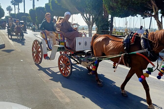 Discover Luxor City Tour by Horse Carriage - Along the Corniche and Nile road