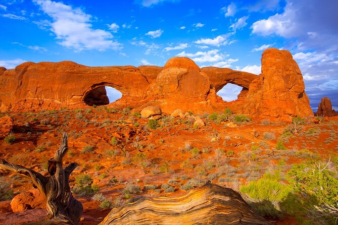 Discover The Best Of Moab In A Day: Arches Canyonlands Dead Horse - Canyonlands brings a different scale