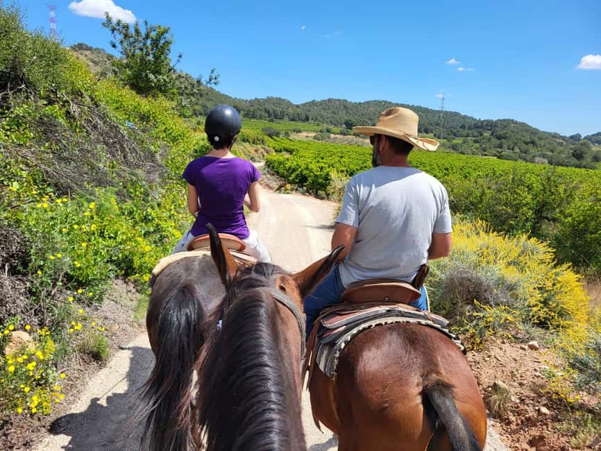 Discover the interior of Valencia on horseback - Key points at a glance