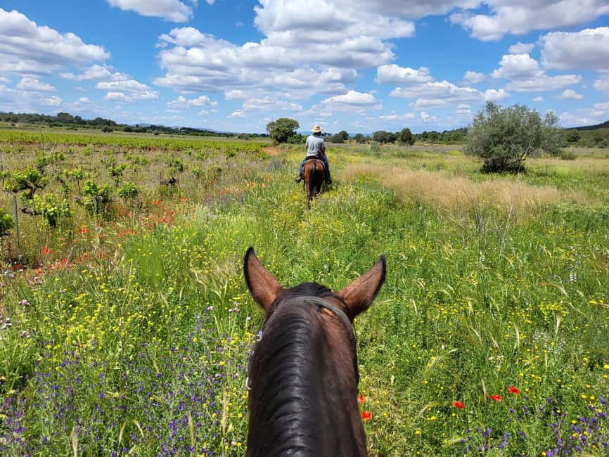 Discover the interior of Valencia on horseback - From Valencia to Riba-roja de Túria