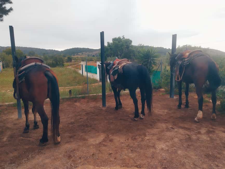 Discover the interior of Valencia on horseback - Looking back toward Valencia from the mountain