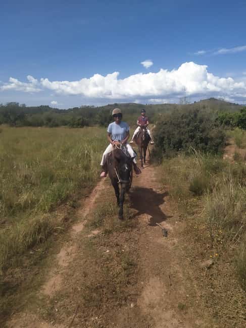 Discover the interior of Valencia on horseback - Timing, language, and cancellation