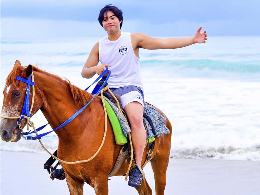 Discover the Trails of Punta Cana on a Horseback Ride - How the two-hour schedule works