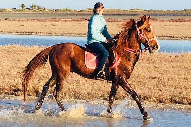 Discovery ride on horseback or camel 2h30 - Riding beyond Djerba’s hotel strip