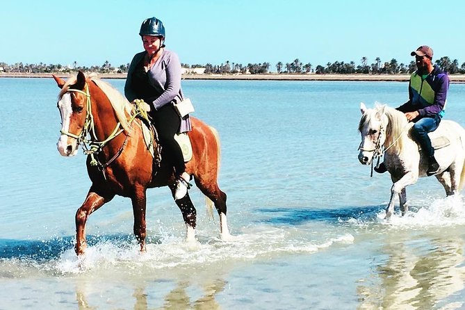 Discovery ride on horseback or camel 2h30 - Crossing the lagoon on horseback or camel