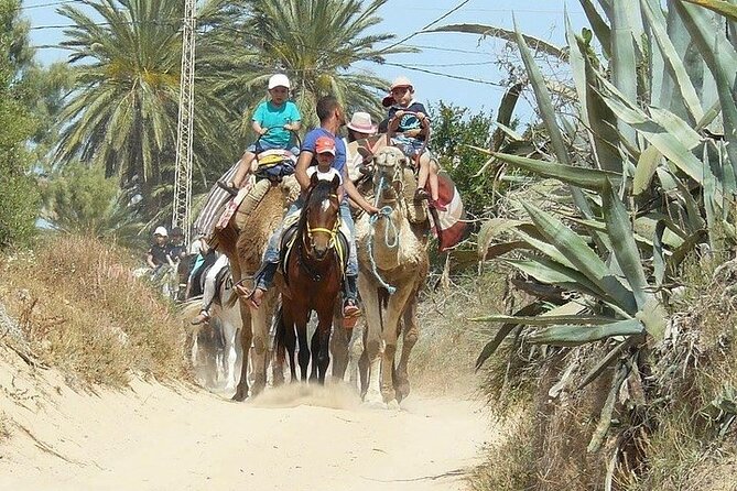 Discovery ride on horseback or camel 2h30 - A short break beside the water