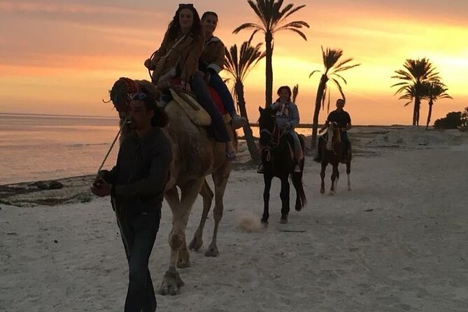 Discovery ride on horseback or camel 2h30 - What the $45.36 price gives you