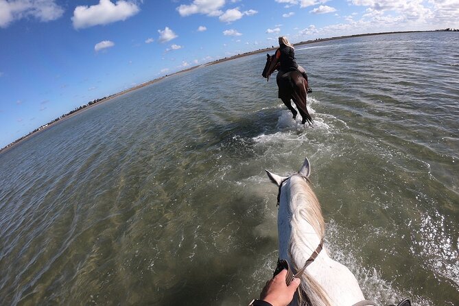 Discovery ride on horseback or camel 2h30 - Who will enjoy this Djerba outing most?