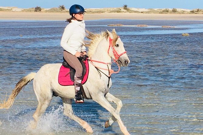 Discovery ride on horseback or camel 2h30 - The first tracks through villages and cactus