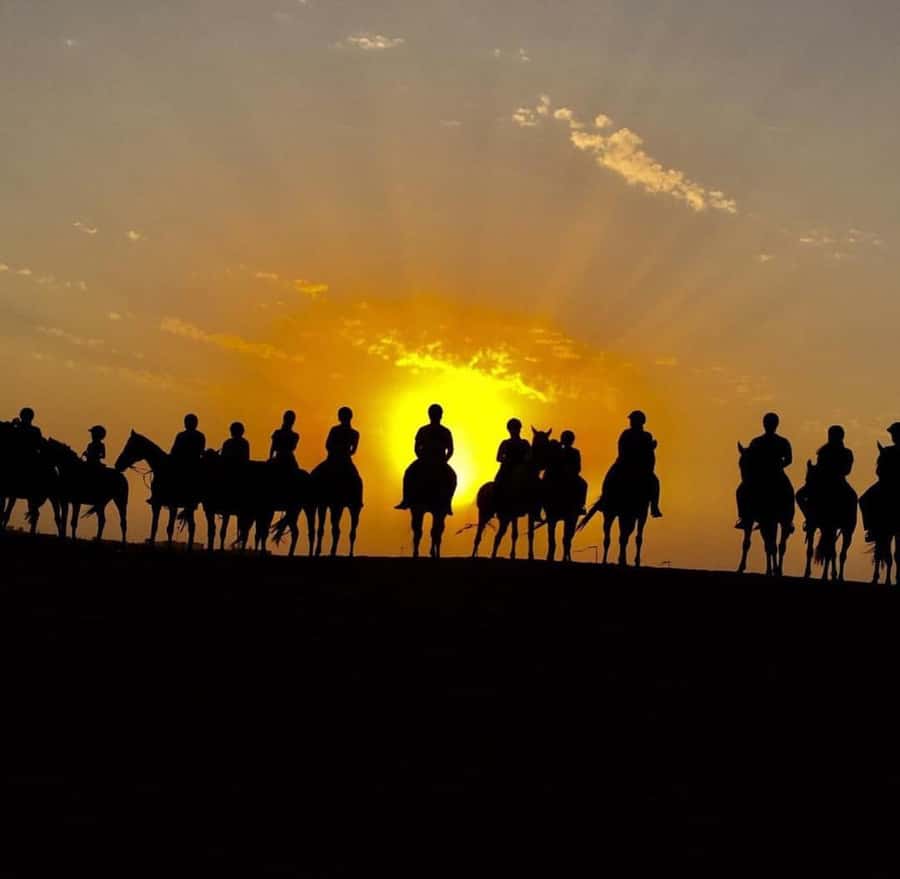 Doha : Arabian Horse Ride Experience With Pickup & Drop Off - Choosing morning or late afternoon