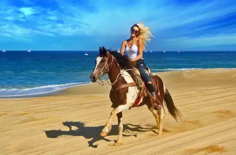 Doha : Arabian Horse Ride Experience With Transfer - Riding from Doha toward Sealine