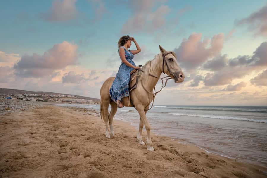 Doha : Arabian Horse Ride Experience With Transfer - Sealine gives the ride its desert character