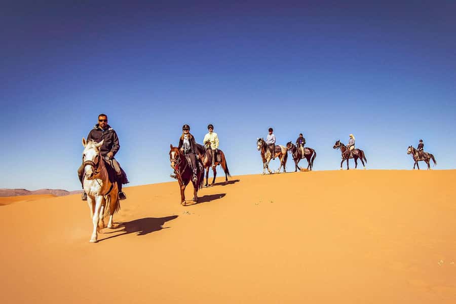 Doha : Arabian Horse Ride Experience With Transfer - An hour on horseback in the open desert