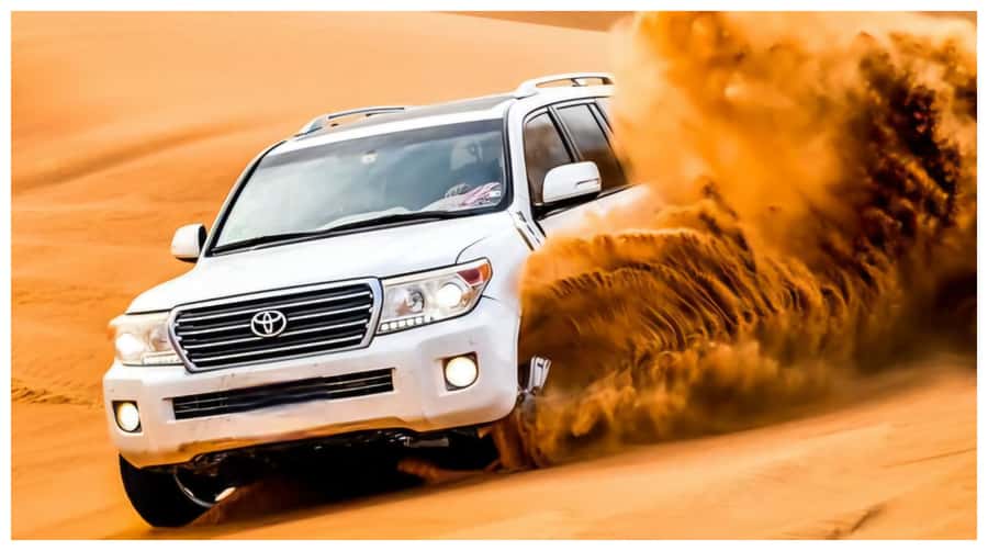 Doha : Arabian Horse Ride Experience With Transfer - What the $169 price really covers