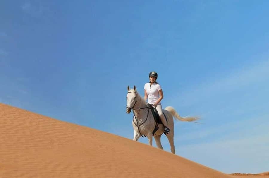 Doha : Arabian Horse Ride Experience With Transfer - Morning or afternoon: choosing the better time
