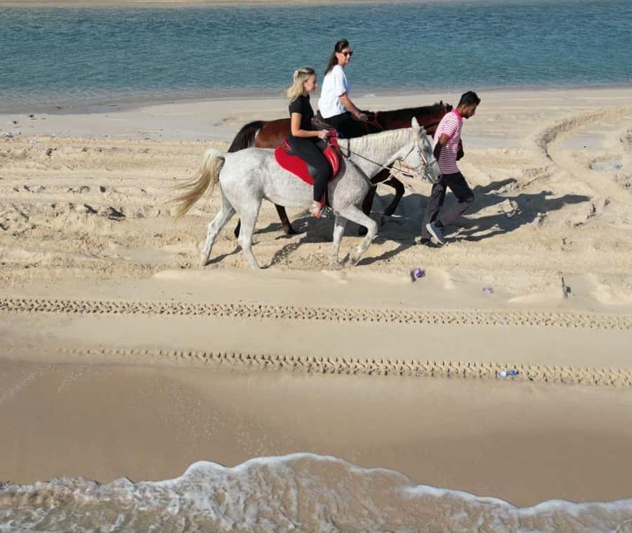 Doha: Arabian Horse Riding Experience –Sea or Desert Options - Arabian horses, dunes, and the sea