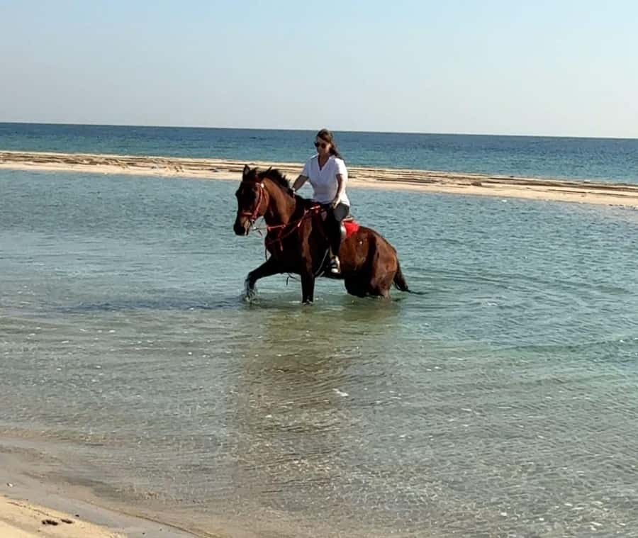 Doha: Arabian Horse Riding Experience –Sea or Desert Options - At the riding school and in the saddle