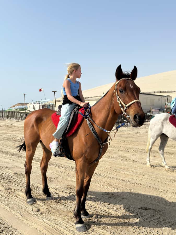 Doha: Arabian Horse Riding Experience –Sea or Desert Options - What the beach ride adds