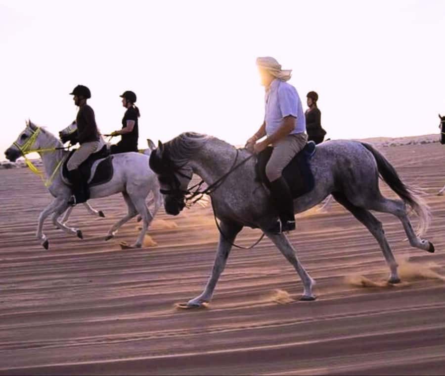 Doha: Arabian Horse Riding Experience –Sea or Desert Options - Guides, photos, and the human touch