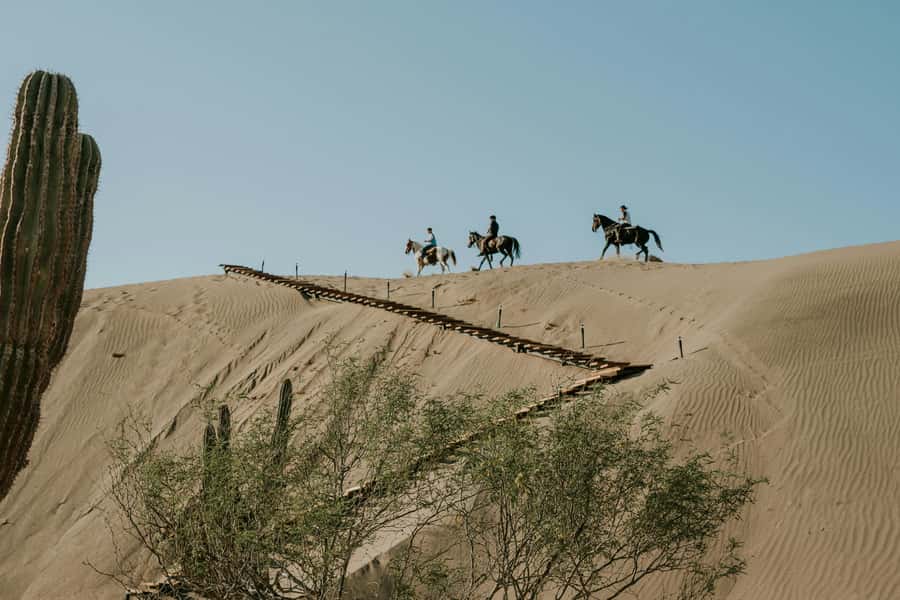 Doha: Arabian Horse Riding Experience –Sea or Desert Options - Who should book this ride?