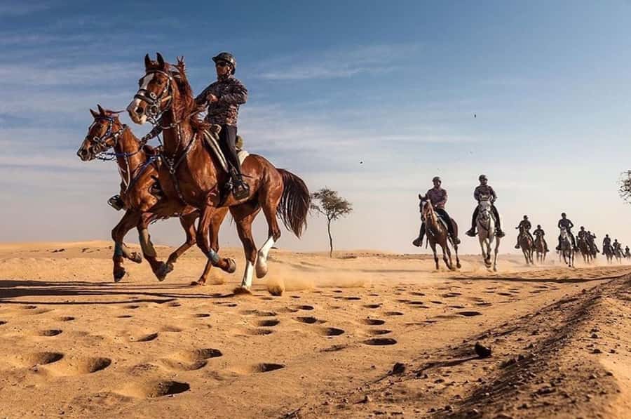 Doha : Horse Riding Tour With Transfer - Riding over the dunes at a quiet pace