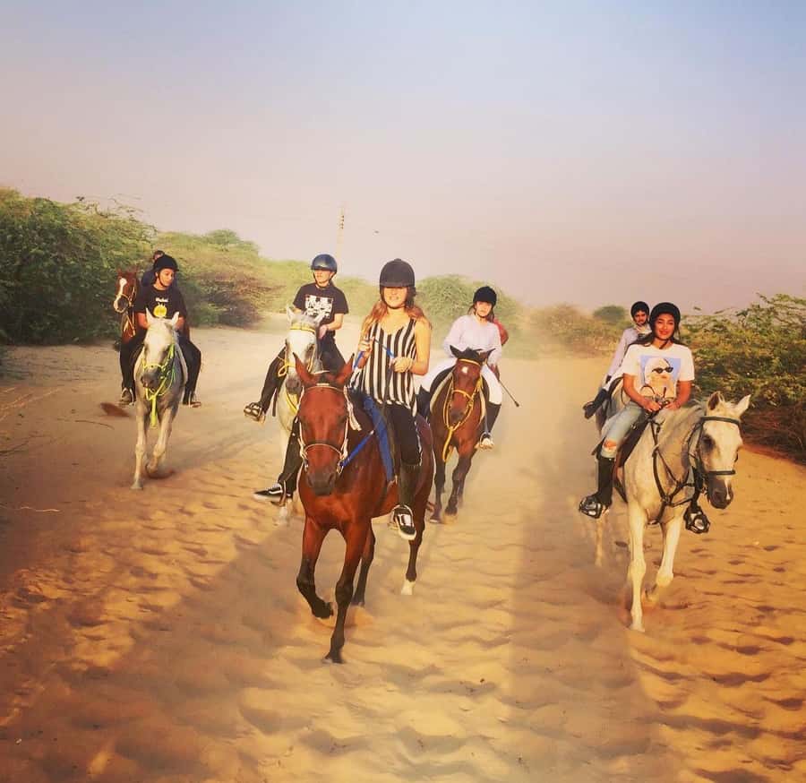 Doha : Horse Riding Tour With Transfer - What the horses and instructors add to the experience