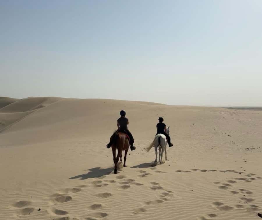 Doha Horseback Riding Adventure in Desert with Transfers - Key points to know before you ride