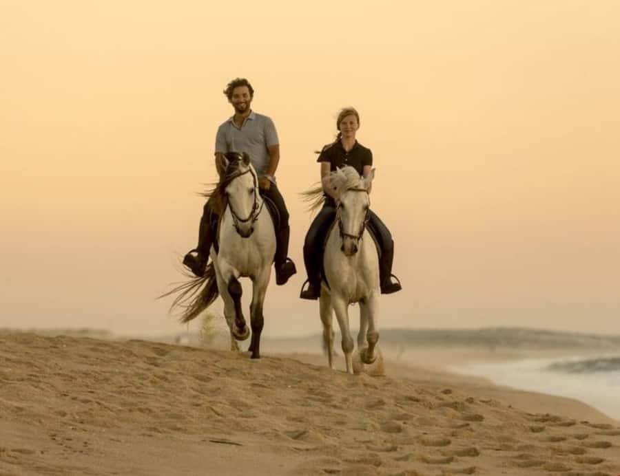 Doha Horseback Riding Adventure in Desert with Transfers - Photos, dunes, and the best time of day