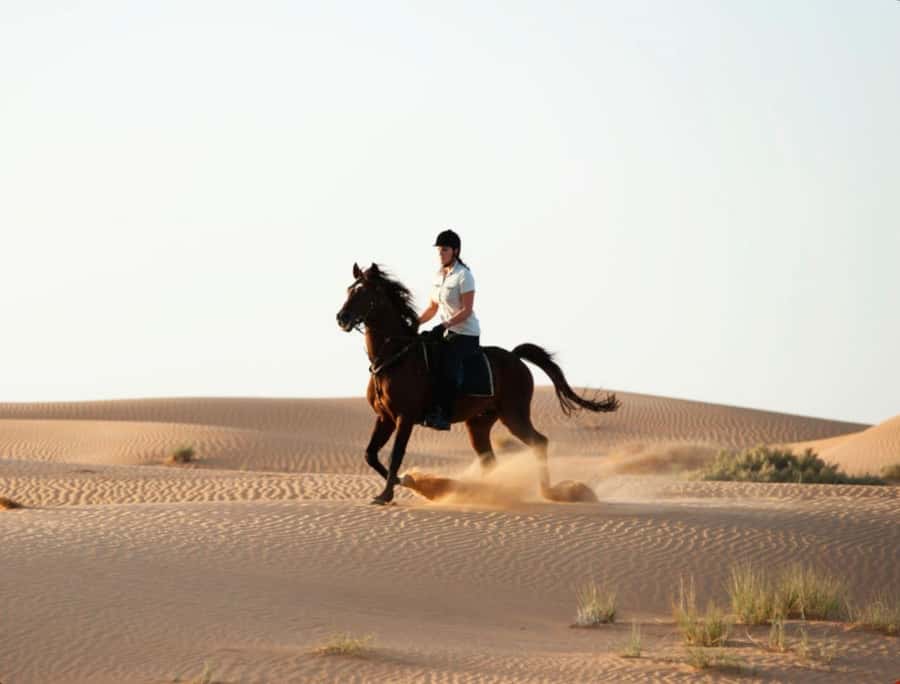Doha Horseback Riding Adventure in Desert with Transfers - Arabic coffee and a taste of Qatari culture