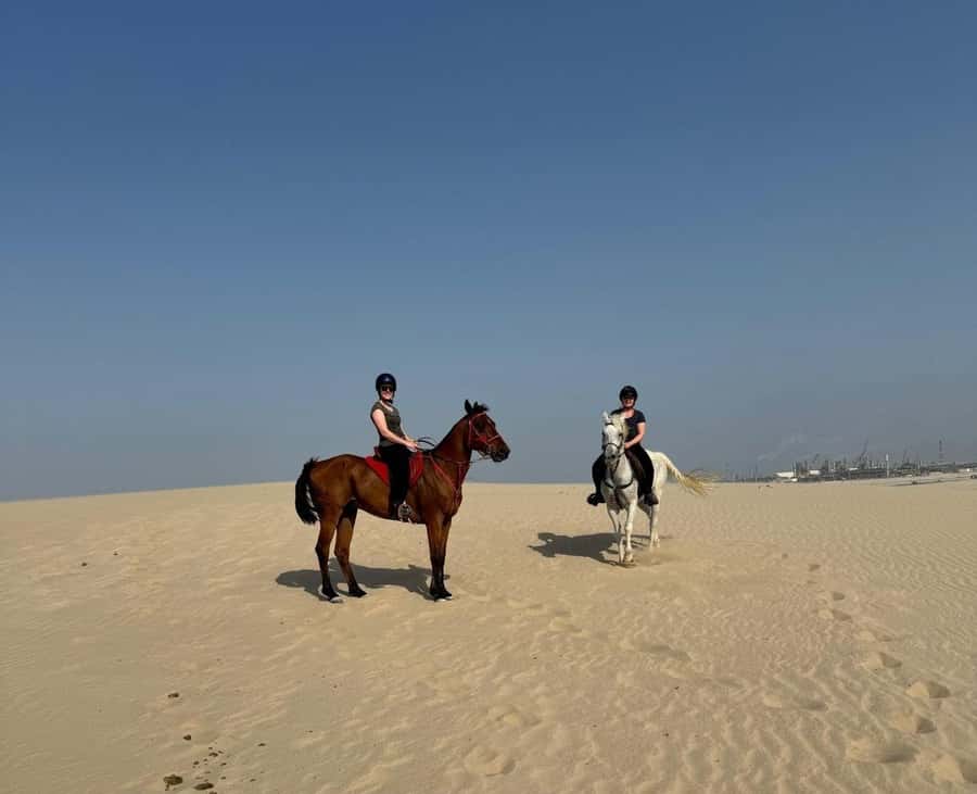 Doha Horseback Riding Adventure in Desert with Transfers - The transfer question: useful, but confirm it