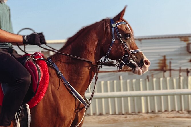 Doha-Private Half Day Safari with Horse Ride/Camel Ride/sandboard - From Doha to Mesaieed in a private car