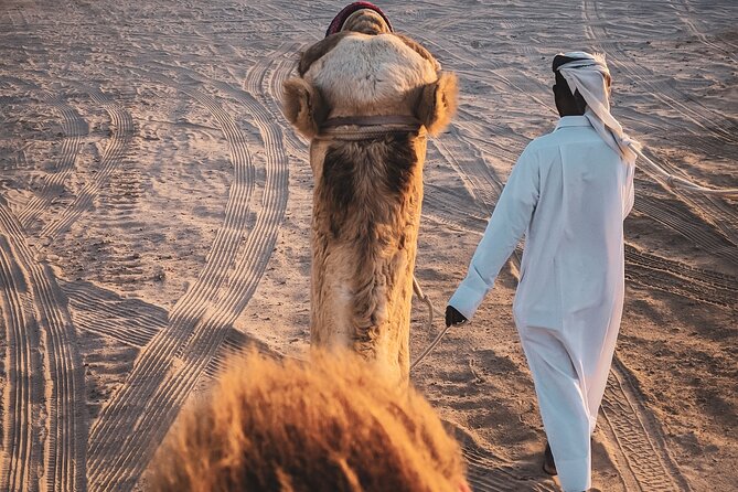 Doha-Private Half Day Safari with Horse Ride/Camel Ride/sandboard - Sandboarding adds a simple burst of fun