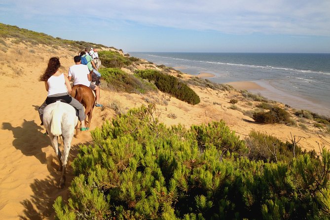 Donana National Park Horse or 4x4 Riding Day Trip - Why Doñana makes a strong day trip from Seville