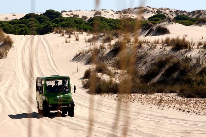 Donana National Park Horse or 4x4 Riding Day Trip - Doñana National Park and its seasonal wildlife