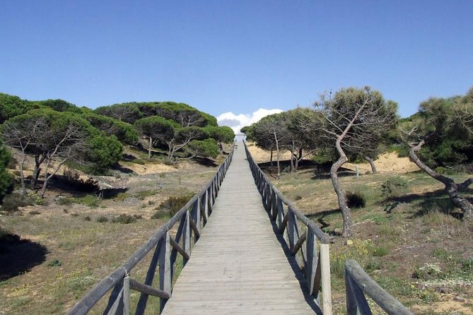 Donana National Park Horse or 4x4 Riding Day Trip - Matalascañas: an easy Atlantic stop