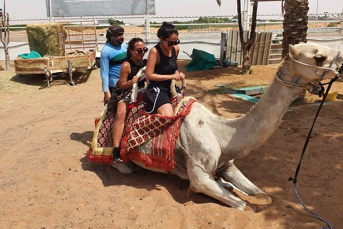 Dubai: All Inclusive Desert Safari with ATV, Camel, Horse ride, Vip & more - Al Awir camp brings the Arabian-style evening