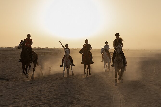 Dubai Desert Horseback Safari with Photoshoot - Key points to know before you book