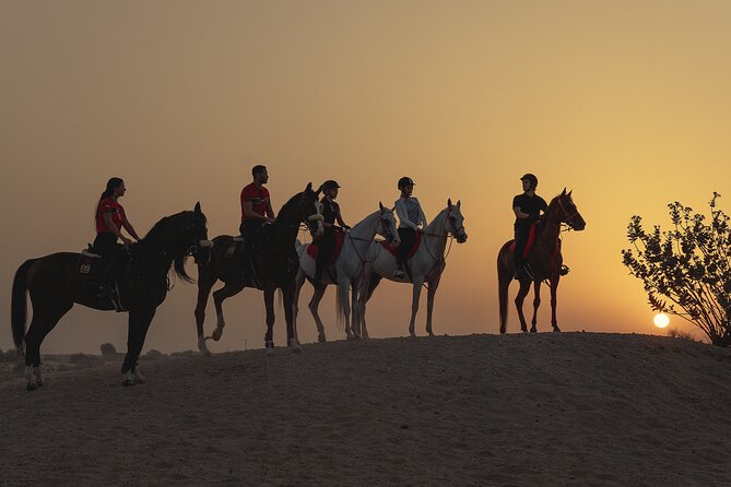 Dubai Desert Horseback Safari with Photoshoot - Meeting the horse before the desert ride
