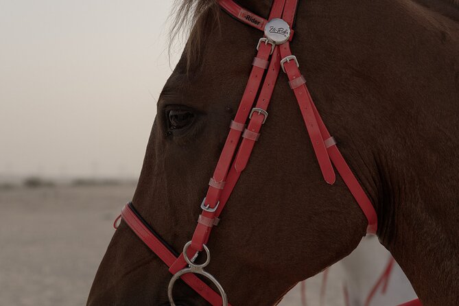 Dubai Desert Horseback Safari with Photoshoot - Who will enjoy this private Dubai ride