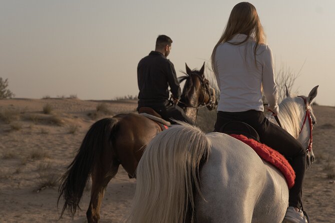 Dubai Desert Horseback Safari with Photoshoot - Practical details that affect your day