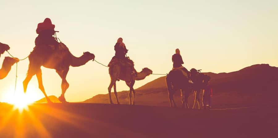Dubai: Hot Air Balloon with Camel, ATV, & Horse Ride Options - Key points to know