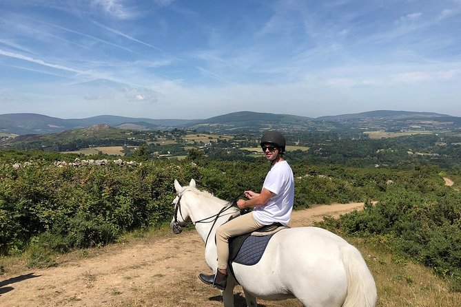 Dublin to Wicklow, Glendalough Small Group Tour with Horse Riding - Is $151.16 Good Value?