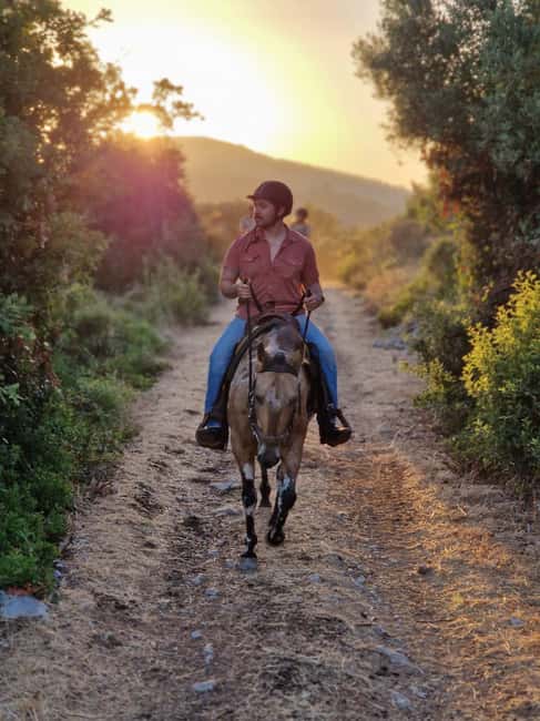 Dubrovnik Kojan Koral: Horseback Riding - Riding from the Konavle Valley toward the sea