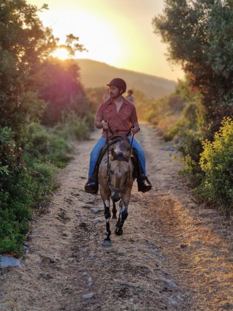 Dubrovnik Kojan Koral: Horseback Riding - Hotel pickup and the short trip to the ranch